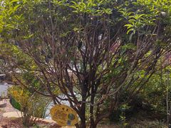 -山东省千佛山医院