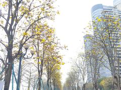 -洲头咀公园