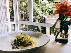 -蝶舍·MAISON PAPILLON