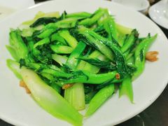 -万年酒楼(越秀南路店)