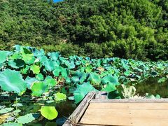 -素满香·全民食养自助(建邺万达店)