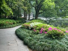 -杭州植物园