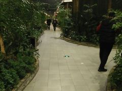 -森谷美食公园(杨行店)