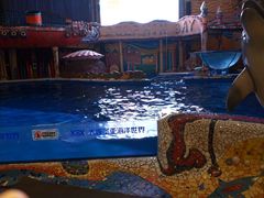 -大连圣亚海洋世界
