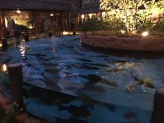 -忆江南·临江鱼馆