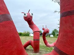 -杭州湾海上花田景区