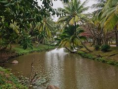 -白沙门生态公园