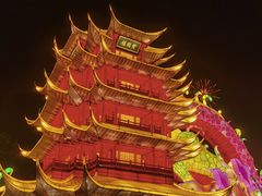 -武汉园博园(武汉自然博物馆)