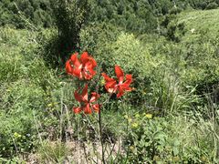 -蔚县茶山村