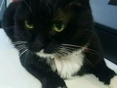 android_upload_pic-艾泽瑞斯图文快印打印复印证件照设计名片画册(艾泽瑞斯打印复印洗照片店)