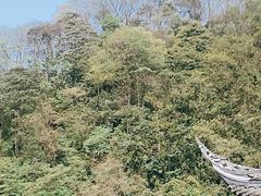 -青城山