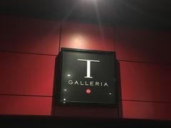 -DFS旗下T广场(新加坡店)
