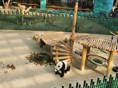 -沈阳森林动物园