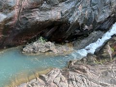 -广州白江湖森林公园