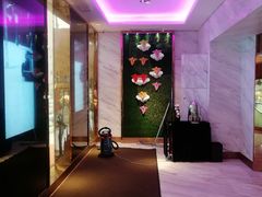 -纯K(打浦桥店)