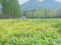 -青城山