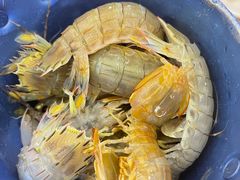 -澜悦港海鲜体验主题餐厅