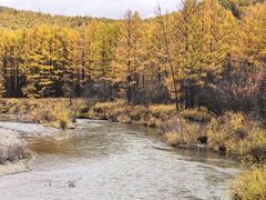 -莫尔道嘎国家森林公园