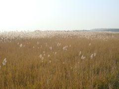 风景-赛汗塔拉风情园