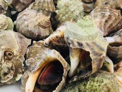 -北戴河庆山饭店·海鲜砂锅粥(北戴河黑石路店)