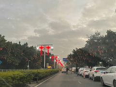 -海上田园