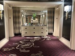 -拉斯维加斯永利酒店