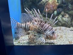 -大连老虎滩海洋公园
