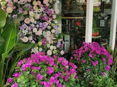 -FEI FEI FLOWER鲜花店·气球派对·宝宝宴布置(虹口德必运动Loft店)