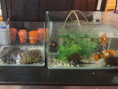 -老五烧烤(石牌岭店)