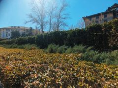 -北京理工大学(中关村校区)