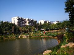 -光明港公园