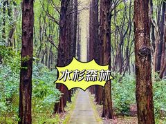 -同里国家湿地公园