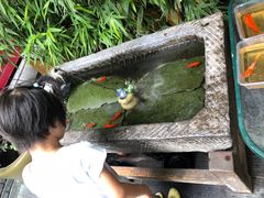 -顺承小院儿