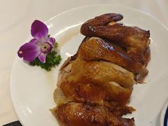 -凯鸽酒楼(水泉湾龙园店)