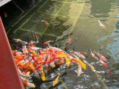 -番禺宾馆丽苑厅