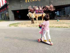 -华夏文旅西安度假区
