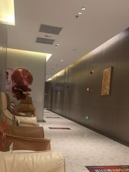 点击看大图 -深圳米兰柏羽医疗美容医院