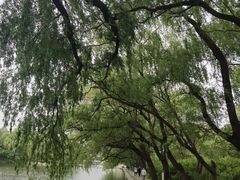 -北陵公园