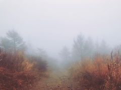 -妙峰山风景名胜区