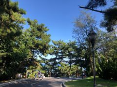 -棒棰岛宾馆景区