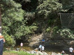 -少华山国家森林公园