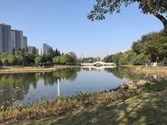 -映月湖公园