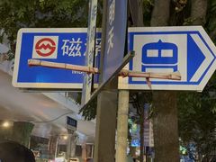 -龙阳路磁悬浮列车总站-停车场