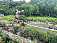 -宁波野生动物园