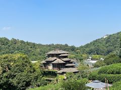 -虎跑公园