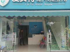 -爱贝特动物医院·猫口炎专科