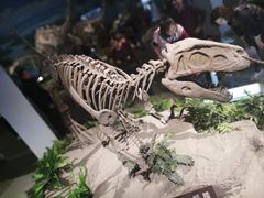 -自贡恐龙博物馆