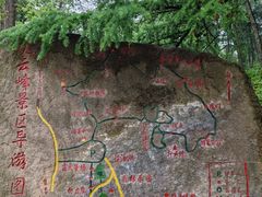 -鲁山国家森林公园