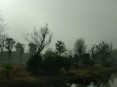 -南阳建业森林半岛假日酒店