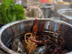 -遇上西雅图多融合海鲜自助餐厅(中房金谊广场店)